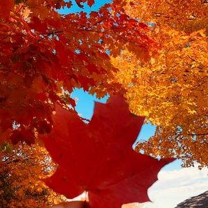 Meet your Posher, Vicky